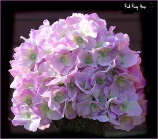 DIY Petal Hat Ebook - PDF digital file download Photo Props Newborn photography pattern tutorial instructions Flower Floral Hats Photos - Image 5